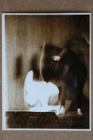 II nagroda do lat 15 - Barbara Ostafińska, MDK nr 1 Tychy, za zestaw zdjęć pt. „Pantomima”