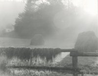 III Nagroda do lat 21 - Piotr Zajączkowski - Łódź - za całość nadesłanych prac 