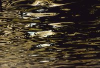 I nagroda do lat 21 - Ewa Dąbrowska, I LO Hajnówka, za całość prac 