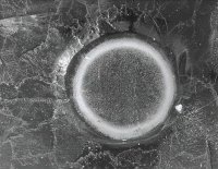 Wyróżnienie do lat 21 - Paweł Ramel, MDK Augustów, za całość prac