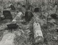 Wyróżnienie do lat 21 - Maciej Ostaszewski - ZSB-G - za całość nadesłanych prac