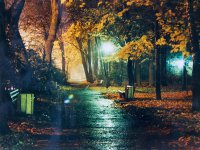 Nagroda specjalna firmy „Kodak Polska” za najlepsze zdjęcia wykonane na papierze KODAK - Mariusz Frączek, ZSZ Jasło, za zdjęcia: „Ławki w nocy”, „Alejka” 