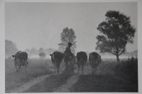 III nagroda do lat 21 - Adam Tomasiak, MDK Olsztyn, za całość prac