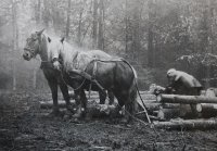 III nagroda do lat 21 - Adam Tomasiak, MDK Olsztyn, za całość prac