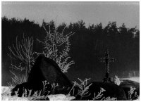 Grand Prix - Robert Półkośnik, MDK Białystok, za zdjęcie „Zimny dotyk”