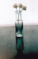 Nagroda „KODAK EXPRESS FOTO CENTRUM” Białystok - Zbigniew Trusewicz, MDK Białystok, za całość prac 