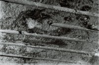 II nagroda do lat 21 - Paulina Bednarowicz, MDK Bolesławiec, za całość prac 