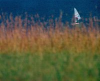 I nagroda do lat 21 - Artur Hałagan, Tarnowskie Góry, za całość prac 