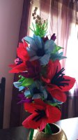 5. Palma Doroty K.