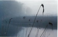 II Nagroda do lat 21 - Radosław Dobrowolski, Supraśl, za całość prac