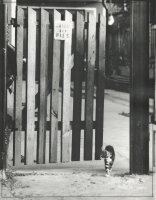 III Nagroda do lat 21 - Piotr Zajączkowski - Łódź - za całość nadesłanych prac 