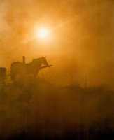 I nagroda do lat 21 - Artur Hałagan, Tarnowskie Góry, za całość prac 