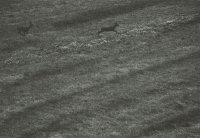 III Nagroda do lat 21 - Andrzej Olichwier - MDK Białystok - za całość nadesłanych prac