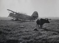 II nagroda do lat 15 - Maciej Fedorowicz - MDK Białystok - za całość prac 