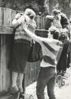 Wyróżnienie do lat 21 - Piotr Morawski - WDK Wrocław - za prace „Dorota”, „XXX”, „Gdzie diabeł nie może”