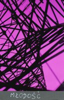 II nagroda do lat 21 - Marek Rutkowski, Pałac Młodzieży Bydgoszcz, za całość prac 