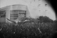 III Nagroda do lat 15, Jan Skiba, Młodzieżowy Dom Kultury w Rzeszowie - za zestaw zdjęć „Inwazja”