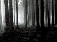 Wyróżnienie do lat 21 - Michał Giedrojć, SOK Słupsk, za całość prac