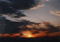 Wyróżnienie do lat 21 - Marcin Sigmund, XII LO Kraków, za całość prac 