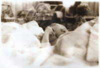 Wyróżnienie do lat 21 - Dominika Hałasa, MDK Zamość, za całość prac