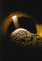 III nagroda do lat 21 - Mariusz Frączek, ZSZ nr 2 Jasło, za zdjęcie bez tytułu 