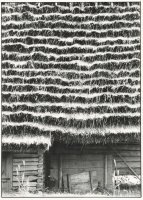 III Nagroda do lat 21 - Piotr Zajączkowski - Łódź - za całość nadesłanych prac 