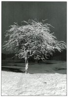 I Nagroda do lat 15 - Marcin Kowalik, SP 25 Lublin, za całość prac