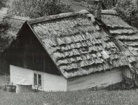 Wyróżnienie do lat 15 - Monika Czaja, SP 3 Tarnów, za zdjęcie „Chatka”